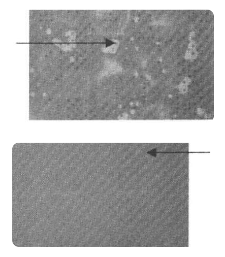 掃描圖對(duì)比